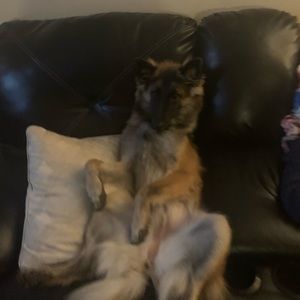 Meet your Posher, Isabela